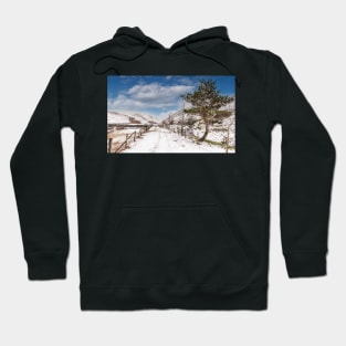 Coquet Valley - Wintertime Hoodie